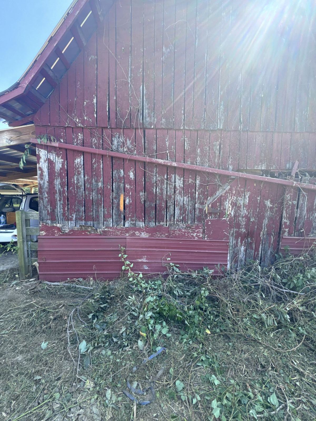 Red barn siding with peeling paint after the vines have been cut back and hauled away