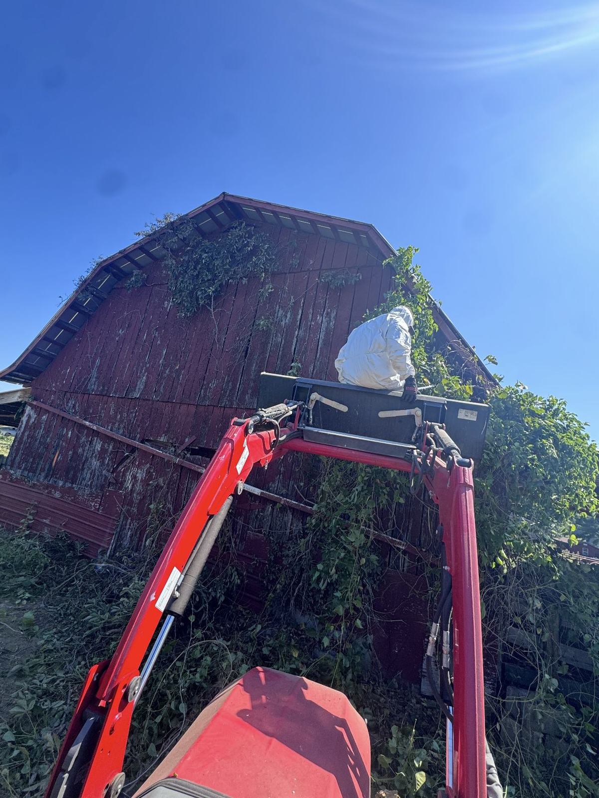 Worker in a protective suit on a lift bucket pulling vines off the upper wall of a red barn