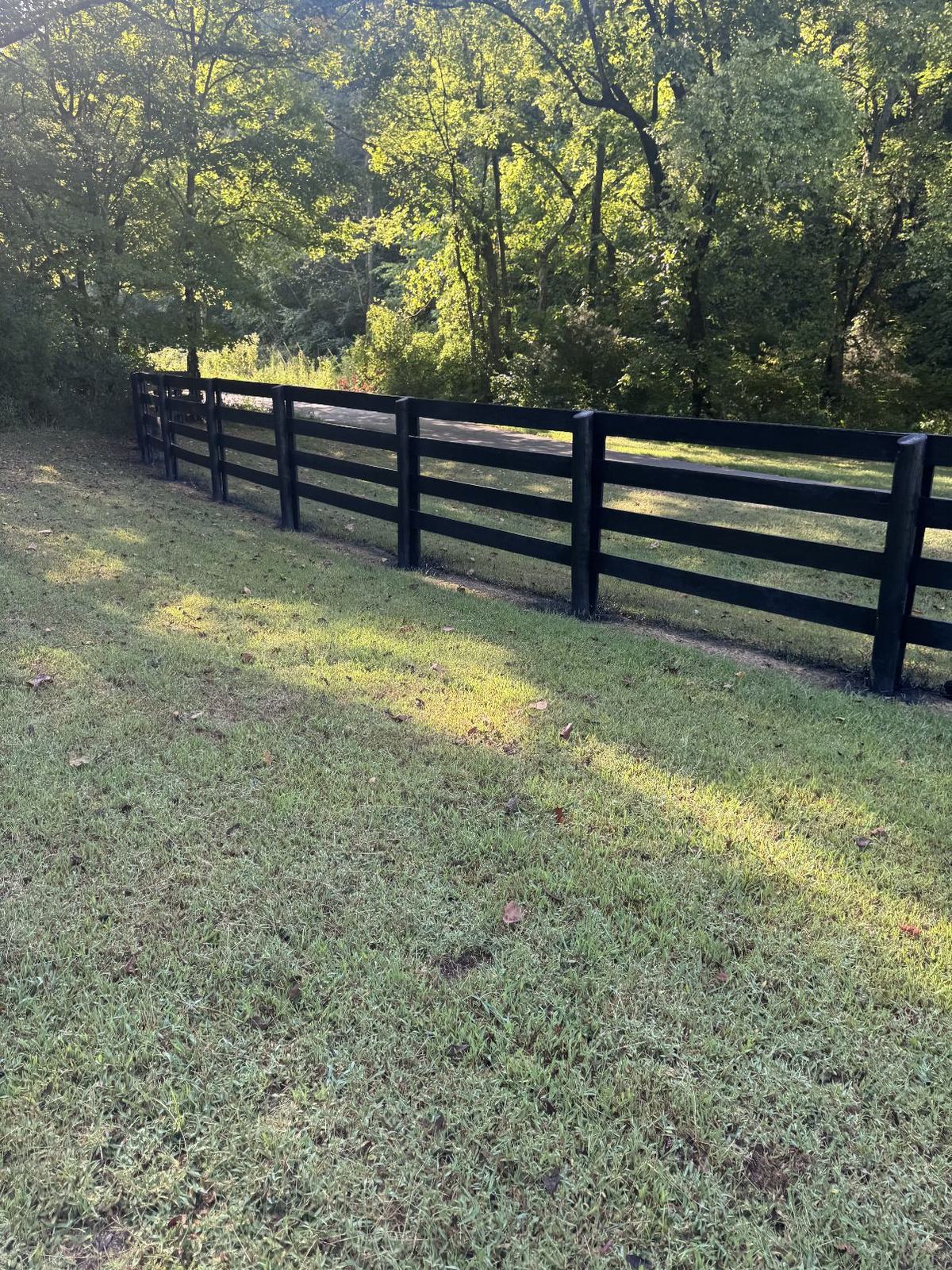 Black-painted four-board farm fence curving along the edge of a wooded lot